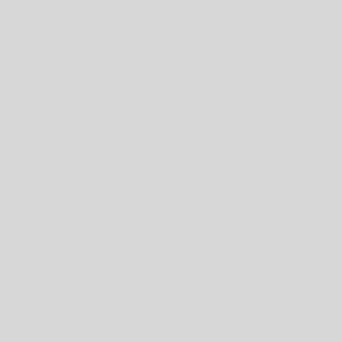 Placeholder project image 1