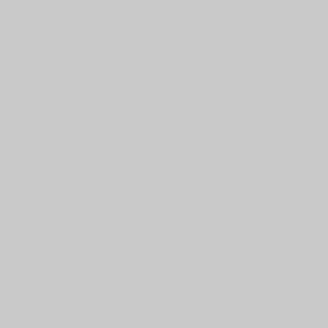 Placeholder project image 2